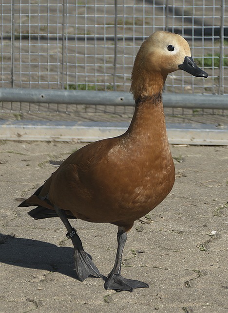 个关注点就