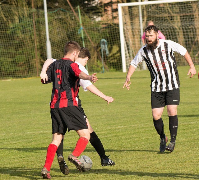 火箭队需要 火箭队需要