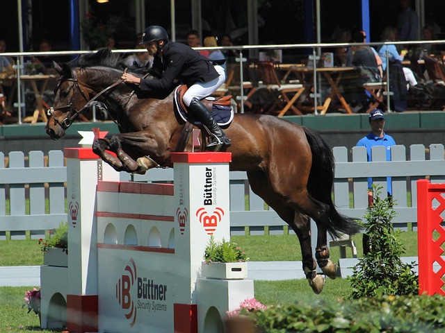 席让他们能 席让他们能