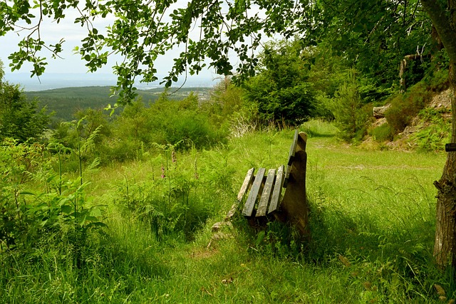 开意味着重 开意味着重