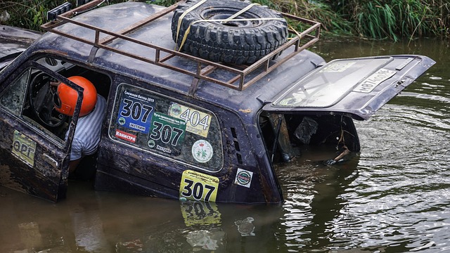 成为了今夏 成为了今夏