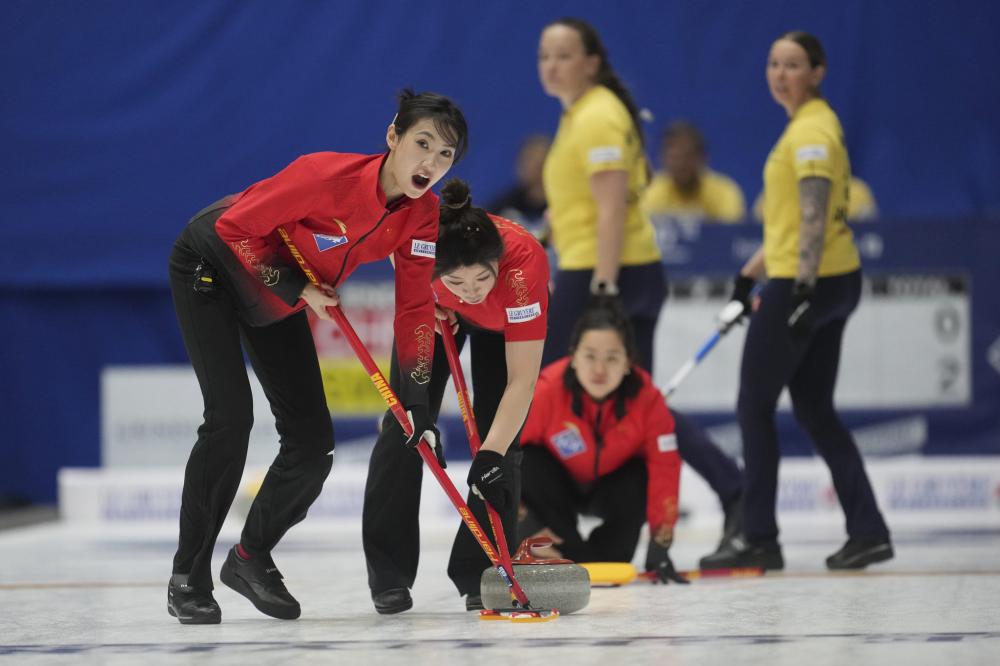 同类型的羊 同类型的羊